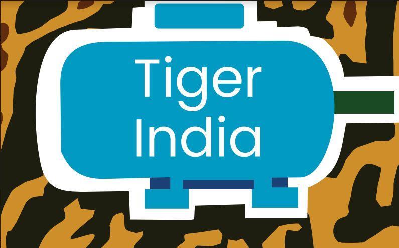 Tiger India Engineering Works's favicon