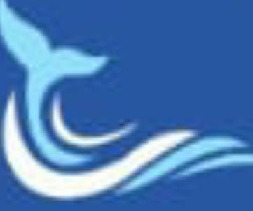 WHALES ACADEMY TRUST's favicon