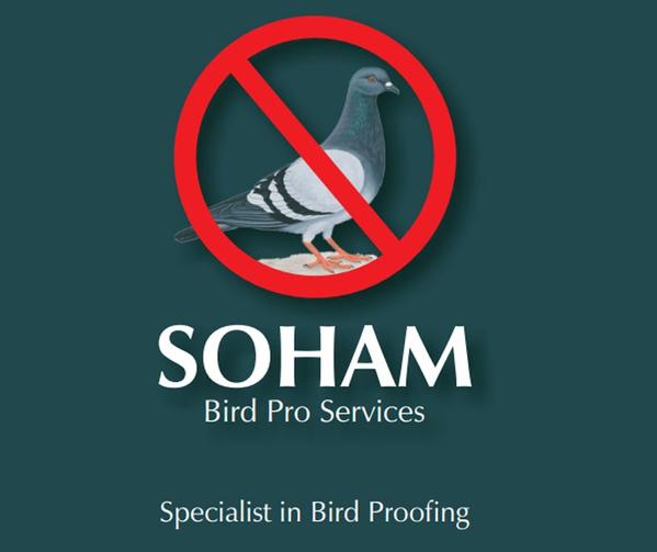 SOHAM BIRD PRO SERVICES -Bird Netting Specialist's favicon