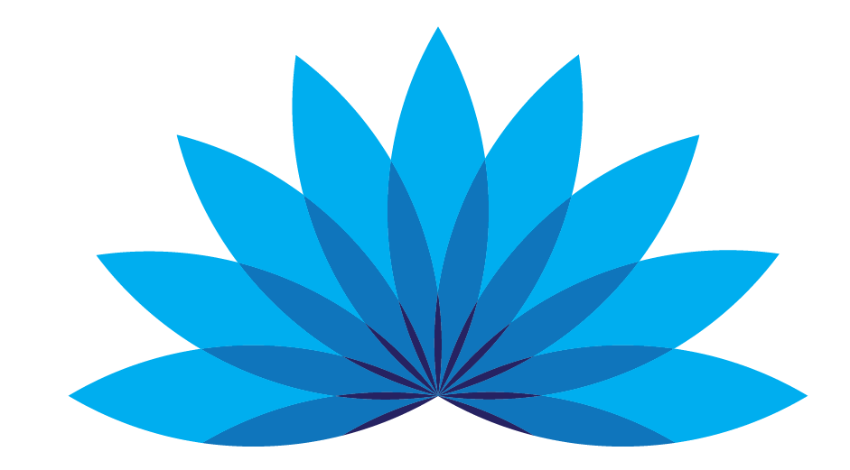 SRG Express Pvt. Ltd.'s favicon