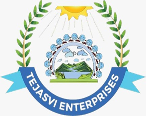 Tejasvi Enterprises's favicon