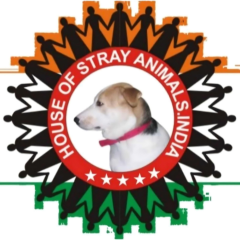 Shivalay Animal Wellness Centre's favicon