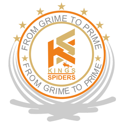 KINGS SPIDERS's favicon